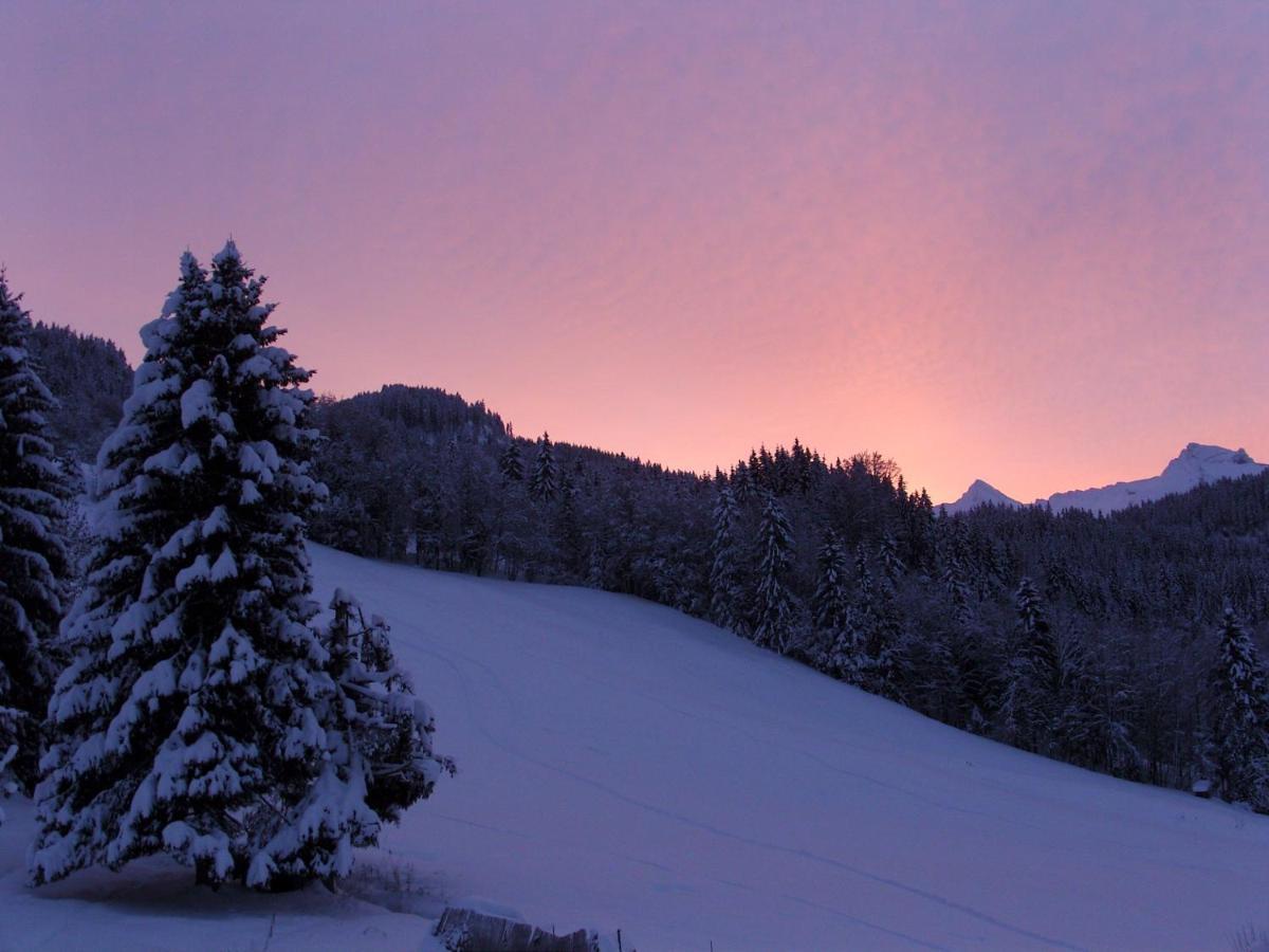 Chalets-Aravis ลาคลูซาซ์ ภายนอก รูปภาพ